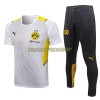 BVB Borussia Dortmund Trainingsshirts Suit 2022-23 Weiße Für Herren